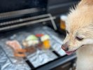 ■ペットと一緒にBBQも可(MIASA BASE2と3と4のみペット可)