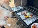 ■ペットと一緒にBBQも可(MIASA BASE2と3と4のみペット可)