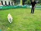 ■MIASA BASEの隣にはドッグランも完備※ペットはMIASA BASE≪2と3と4≫にご宿泊の場合のみ可