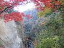 渓谷の紅葉