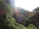 渓谷の紅葉