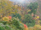 渓谷の紅葉