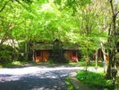 桂の秀中庭・春