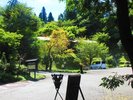 母屋玄関から見た「桂の秀」