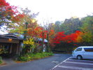母屋周辺の紅葉