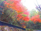 急坂を登りきると
