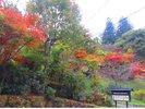 母屋玄関前 11月6日の朝