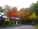 母屋前 11月6日の朝
