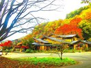 桂茶屋