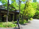 新緑溢れる母屋玄関