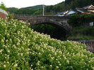 世知原町の石橋