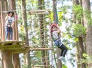 専用ハーネスを着用し、森の木から木へ空中散歩♪ 大人も子供も楽しめます!