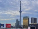 浅草から見たスカイツリー。当館は観光地までのアクセス抜群です。