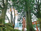 箱根九頭龍の森