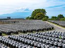 坂元のくろず壺畑【車で約35分】