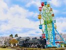 国分城山公園【車で約22分】