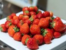 2027年のいちごフェアは1月22日から5月9日の期間、開催いたします♪
