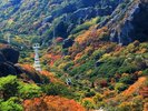 寒霞渓ロープウェイ・紅葉
