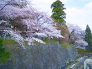 【盛岡城址公園】北上川雫石川中津川を自然の壕として築き上げられ平城・盛岡城の跡地に作られた都市公園
