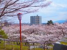 【盛岡城址公園】北上川雫石川中津川を自然の壕として築き上げられ平城・盛岡城の跡地に作られた都市公園