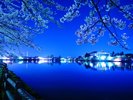 【高松の池】日本さくらの名所100選に選ばれた市民に親しまれた風政公園。