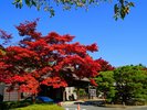 【盛岡中央公民館】初夏の睡蓮や紫陽花や秋の紅葉のライトアップが有名