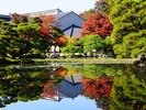 【盛岡中央公民館】初夏の睡蓮や紫陽花や秋の紅葉のライトアップが有名