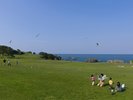 【種差天然芝生地】太平洋の眺望と広大な天然芝が魅力の、文人や画家に愛された絶景地です。 (2)