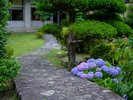 【日本庭園】季節の移ろいを感じることができる日本庭園
