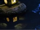 灯籠の優しい光を頼りに夜の庭園の散策をすることができます