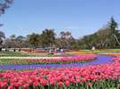 【木曽三川公園】愛知県、岐阜県、三重県にまたがる、日本一大きい国営公園です。ホテルより車で約20分