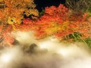 【なばなの里】霧に包まれる紅葉