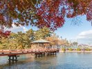 【九華公園】ホテルより徒歩約20分(写真提供:桑名市観光協会)