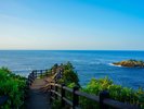 【日向岬】太平洋の荒波が創り出した壮大なリアス式海岸(車で約80分)