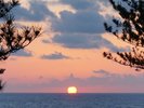 当館自慢の夕日気象条件次第のため結構レアなんです!
