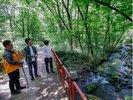 森の午後さんぽ:四季折々の様々な表情をみせる生命力豊かな小阿寺沢渓流の森林が皆様をお迎えします。