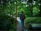 アクティビティ「森の午後さんぽ」