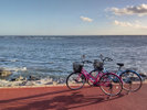 レンタサイクル すぐ近くの海辺へサイクリングがおススメ!