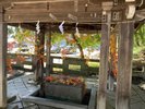 【熊野大社】紅葉彩る縁結び