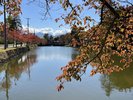 【上杉神社】秋色の上杉神社