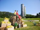 【トマムー夏イベント】とうきびを心ゆくまで楽しむ「ファームdeとうきび」