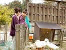 中庭にて