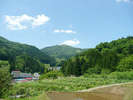 棚田から眺める緑豊かな鉢伏山