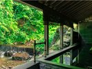 春の露天風呂からの景色。