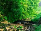 夏の露天風呂からの景色。
