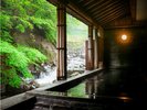 春の露天風呂からの景色。