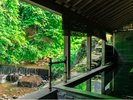 夏の露天風呂からの景色。