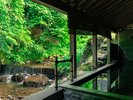 夏の露天風呂からの景色。