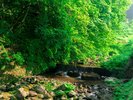 夏の露天風呂からの景色。