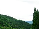 ハチ北高原